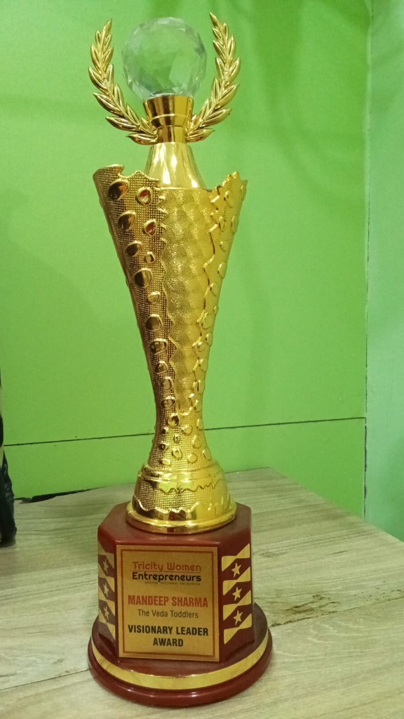 Visionary Leader Award